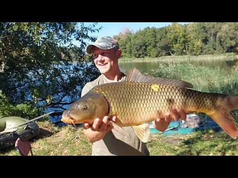 Видео: Дикі САЗАНИ на боковий кивок 👍👍👍Ловимо з чьовна💥