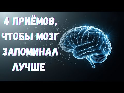 Видео: 4 научных способов запоминать в 3 раза больше