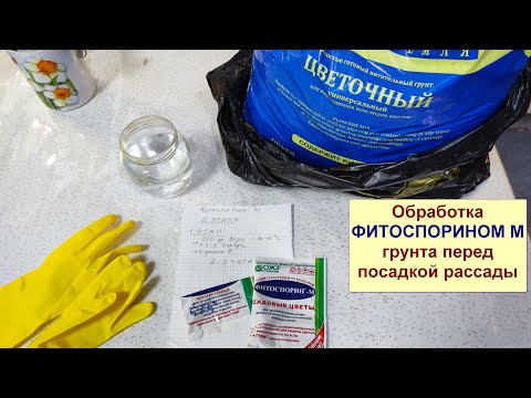 Видео: Обработка #Фитоспорином М. Готовлю землю для рассады. Фитоспорин перед посадкой рассады.