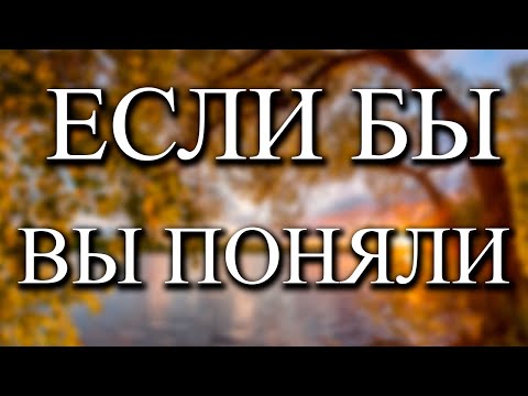 Видео: Оставьте все в покое и начнет происходить нечто