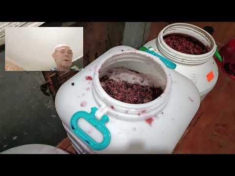 Видео: Виноградное вино по домашнему.
