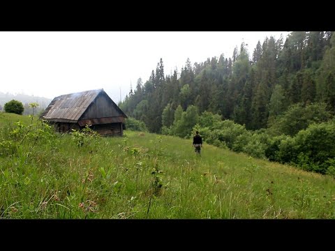 Видео: Горная хижина в диком лесу далеко в горах. Бушкрафт убежище. [эпизод 2]
