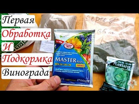 Видео: Первая обработка и подкормка винограда