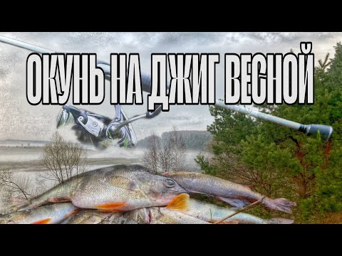 Видео: ПОИСК ОКУНЯ НА РЕКЕ. ОКУНЬ на ДЖИГ. ЛОВЛЯ ОКУНЯ НА СПИННИНГ ВЕСНОЙ.  РЫБАЛКА НА СПИННИНГ