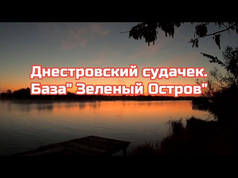 Видео: Днестровский СУДАЧЕК.База Зеленый Остров.07.11.24г