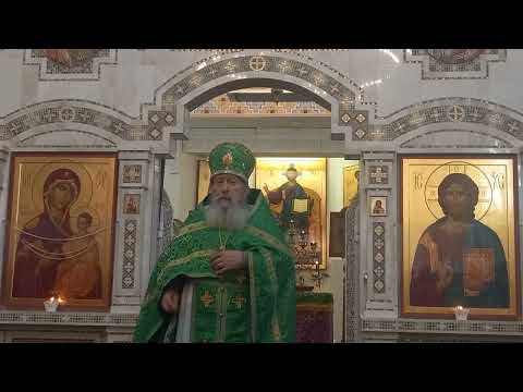 Видео: 20220417 Вход Господень во Иерусалим