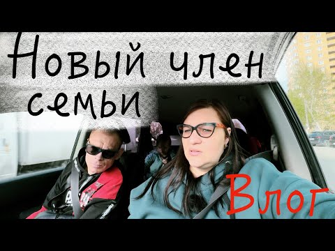 Видео: ПЕРЕЕЗД в Тюмень 😭 Дочка СЛЕЗАМИ додавила меня 🤕 я ПРОГНУЛАСЬ 🙄 ВЛОГ