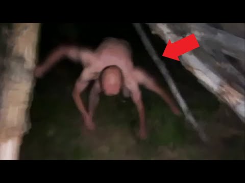 Видео: 10 Зловещих Тварей, Снятых Недавно На Видео
