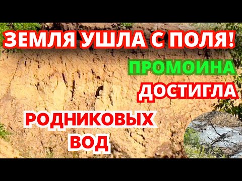 Видео: ШОК! Промоина обнажила родник на сельхозугодиях!
