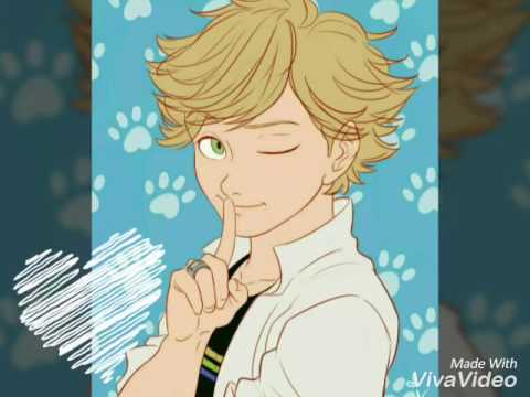 Видео: Мари/кот  без тебя я не могу