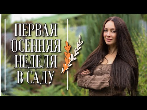 Видео: РАБОТА В САДУ II УБОРКА ОГОРОДА