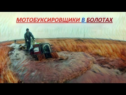 Видео: мотобуксировщик МУЖИК!!! Осенние болота севера!!!