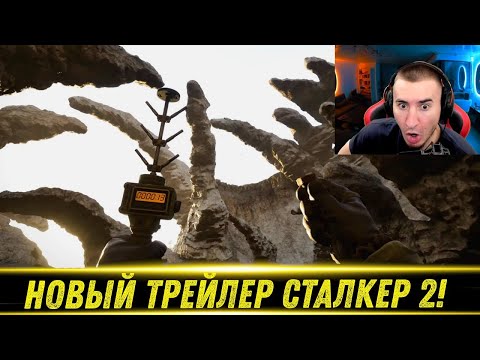 Видео: СТАЛКЕР 2 - Мир и Локации! РЕАКЦИЯ НА НОВЫЙ ТРЕЙЛЕР!