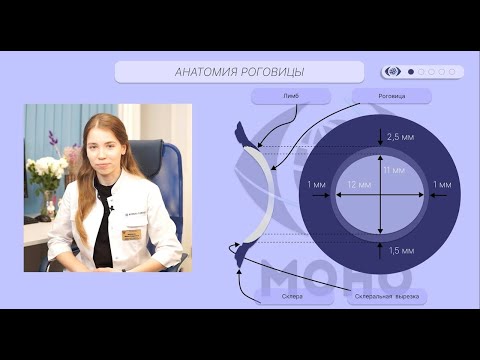 Видео: OphthalMONOgy. Роговица: строение, функции.