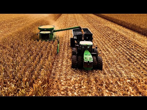 Видео: Другая ферма, больший трактор и новый зерновоз