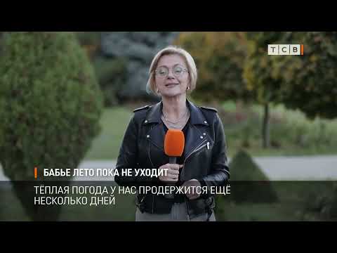 Видео: Бабье лето пока не уходит