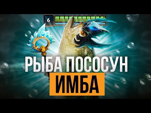 Видео: КОРМ ОБИДЕЛ КОТА | Лучшее со стрима бабуинов