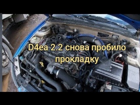 Видео: D4EA 2.2 снова вышибает антифриз!