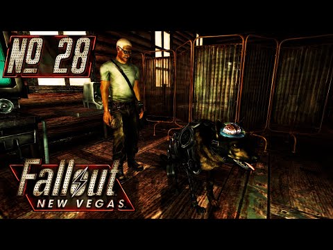 Видео: Собачья жизнь • № 28 • Fallout: New Vegas