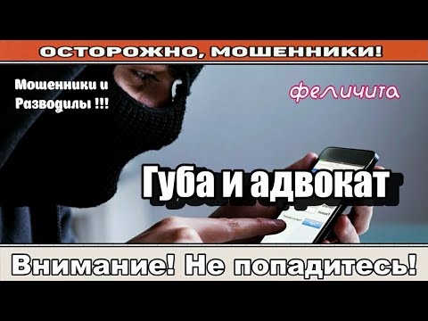 Видео: Мошенники звонят по телефону / Займи мне очередь ( сборник ).