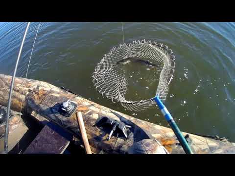 Видео: Малас с Али.2. По утрам морозы, а щука все еще хватает с самой поверхности.