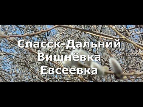 Видео: Спасск-Дальний Вишнёвка Евсеевка...