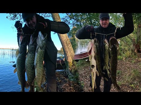 Видео: 2 ДНІ РИБОЛОВЛІ З НОЧІВЛЕЮ.