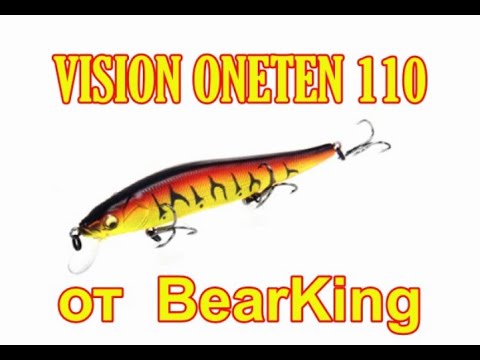 Видео: Vision Oneten 110 от BearKing