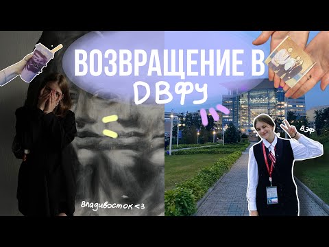 Видео: первый ВЛОГ: возвращение в ДВФУ/ волонтёрство на ВЭФе, друзья, Владивосток ♡ #двфу #общежитие