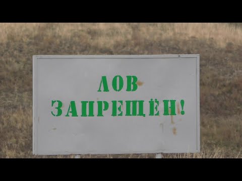 Видео: РЫБАЛКА НА ОКУНЯ В ЗАПРЕЩЁННЫХ МЕСТАХ.