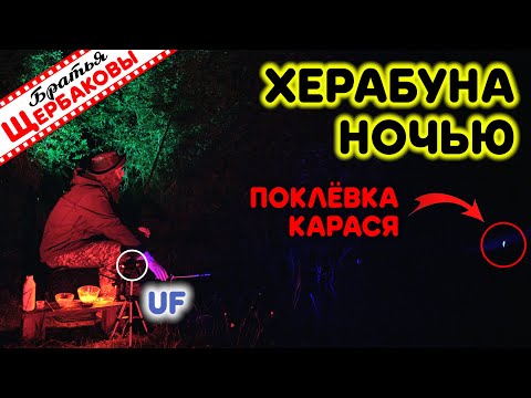 Видео: ХЕРАБУНА. Карась. НОЧЬ. Летняя СКАЗКА после невыносимой жары!