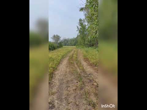 Видео: ааҕар Индира Софронова