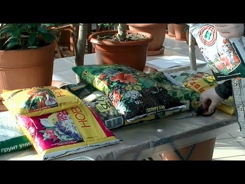 Видео: Проверяем грунты из магазинов.