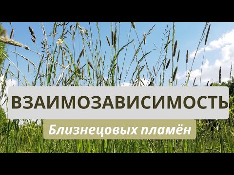 Видео: ВЗАИМОзависимость Близнецовых пламён