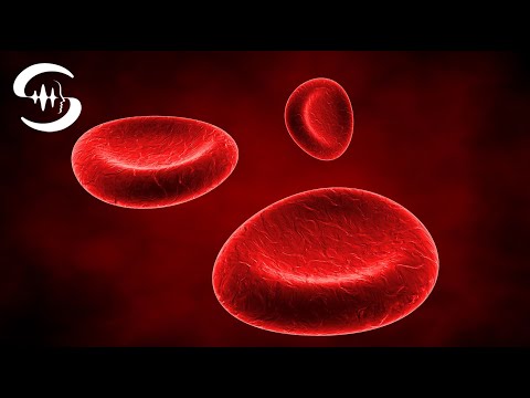 Видео: Оптимизация анализа крови – частота очистки крови