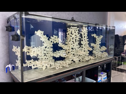 Видео: Морской аквариум на тонну с самым топовым оборудованием, GHL,Royalexclusiv, ECOTECH Marine....