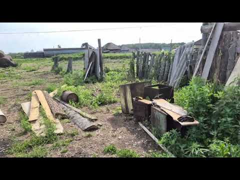 Видео: Целый день в огороде/ клубничный рай в морозилке