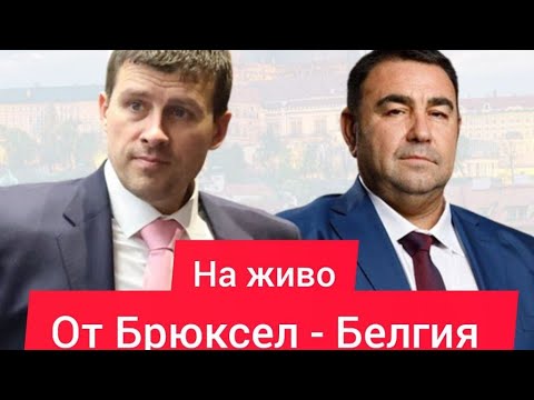 Видео: На живо от Белгия 🇧🇪🇧🇬 българи в Брюксел заедно с Ивелин Михайлов и Павел Стоименов