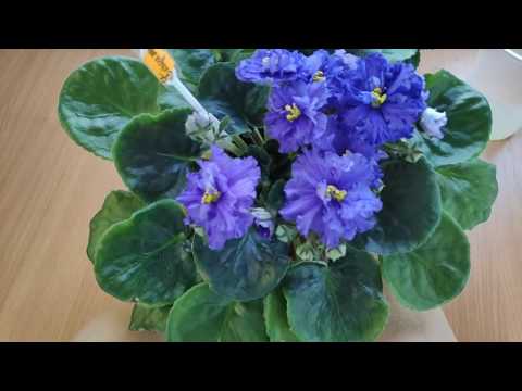 Видео: Идеальная розетка .Что для этого нужно.