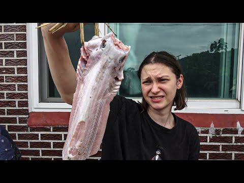 Видео: Поймали на удочку АКУЛУ в Корее! Корейская рыбалка