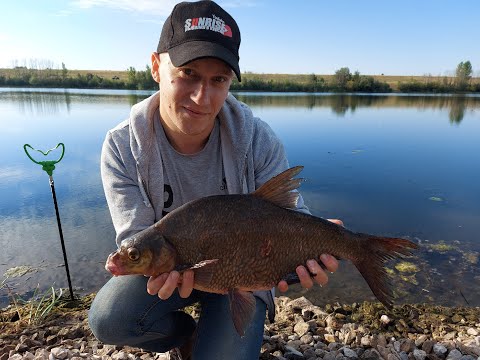 Видео: ЛЕЩ НА ФИДЕР Река сейм