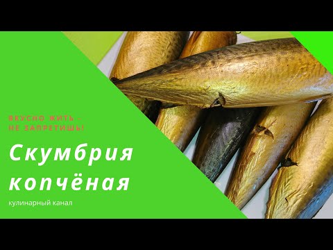 Видео: СКУМБРИЯ ХОЛОДНОГО КОПЧЕНИЯ ПОДРОБНО ОТВЕТЫ НА ВОПРОСЫ /smoked mackerel