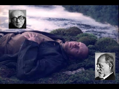 Видео: 9. Феномен как данность. Совесть и Добро (+Обсуждение)