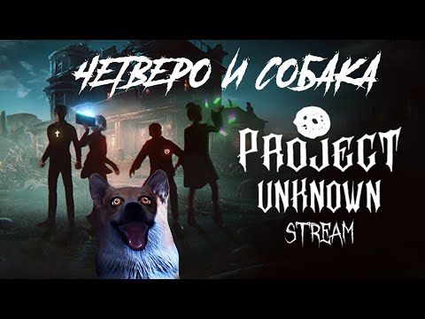 Видео: ЧЕТВЕРО И СОБАКА / Project Unknown Stream