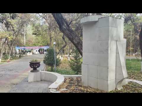 Видео: 9 ноября 2025 г.