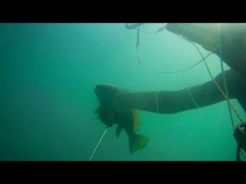 Видео: 31 июля 2025 г.