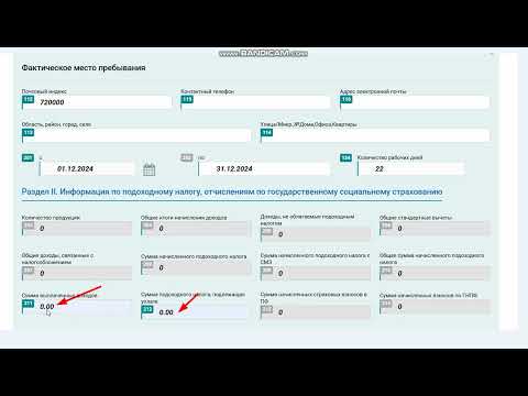 Видео: Кантип соцфонд отчетун тапшырам, форма 161, налоговый отчет
