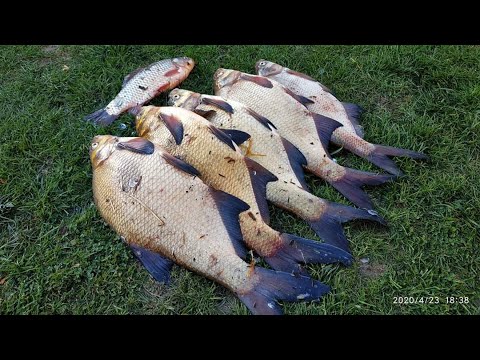 Видео: РЫБАЛКА С БОКОВЫМ КИВКОМ!  ЛОВЛЯ ЛЕЩ-КАРАСЬ!!!