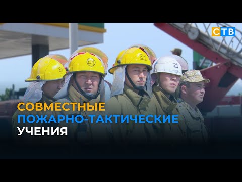 Видео: Пожарные Кыргызстана и Казахстана потушили условный пожар в лесном массиве