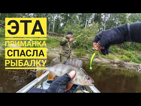 Видео: Эта приманка КОСИТ рыбу!!!Рыбалка в КОРЯГАХ! Ловля в ОТВЕС!